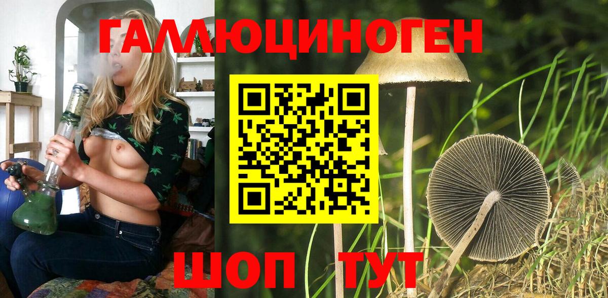 Псилоцибиновые грибы Psilocybine cubensis Алапаевск